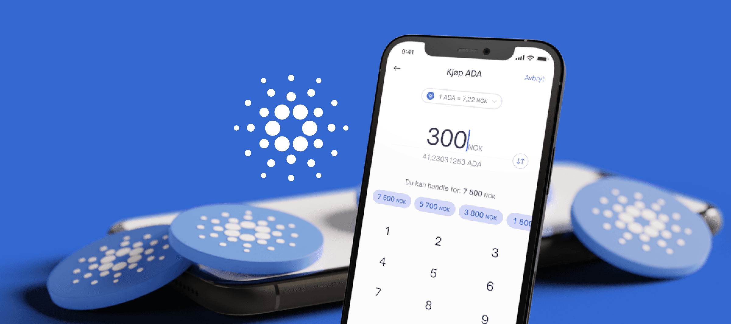 How to buy and store Cardano?